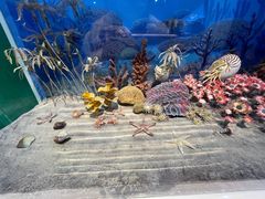 -国家自然博物馆