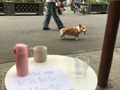 -WithU悠弦时光·尤克里里之家ukulele(宽窄巷子店)
