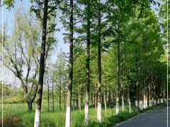 -昆山城市生态森林公园