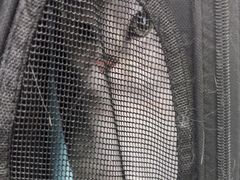 -瑞派宠物医院·犬猫全科·猫友好(宾水西道店)