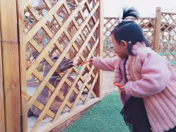 -萌宠亲子动物乐园(槐房万达店)