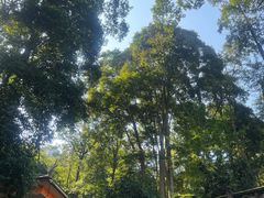 -都江堰普照寺