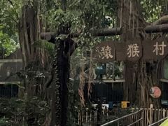 -深圳野生动物园