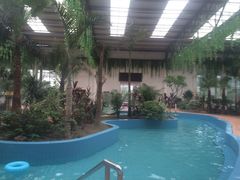 IMG_9476-灵山莲花公园-温泉度假区