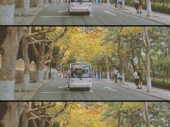 -八大关景区
