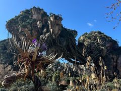 -奥兰多迪士尼动物王国乐园