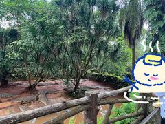 -海南热带野生动植物园
