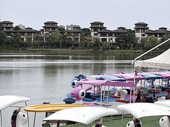 -美的鹭湖森林度假区