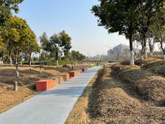 -春花秋色城市公园