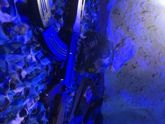 -战友蚝情烧烤工场(嘉华店)