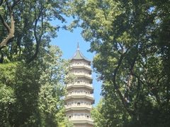 -灵谷景区