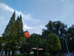 -四川大学(望江校区)