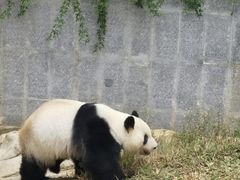 -南宁市动物园