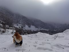 -太子岭滑雪场