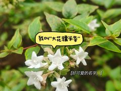 -湖南省植物园
