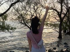 -宝安西湾红树林湿地公园