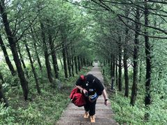-东白山