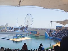 -秦皇岛乐岛海洋王国