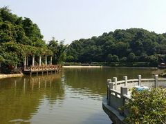 -广州市帽峰山景区