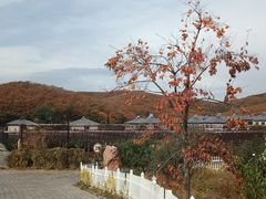 -大连北马山庄