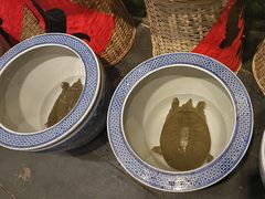 -李久其家民间餐厅(观沙岭公园店)