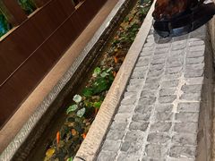 -杭州君悦酒店·湖滨28中餐厅