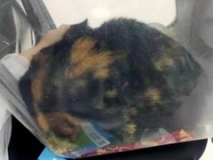 -美联众合动物医院·24h京西诊疗中心