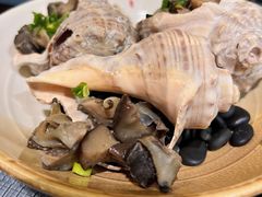冰镇酱渍海螺-德川家日本料理(龙德广场店)