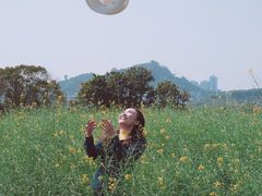 -光明小镇欢乐田园