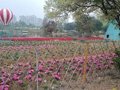 -南沙蒲洲花园
