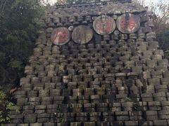 -千年银杏谷文化旅游区