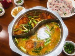 酸萝卜鱼火锅-大理.老字号渝记酸萝卜乌鱼(古城总店)