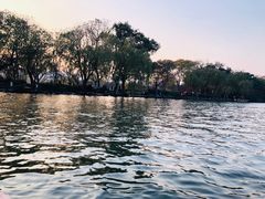 -西湖外事游船(花港观鱼码头)