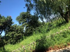 -北京西山国家森林公园