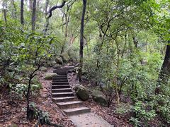 -狮子山郊野公园