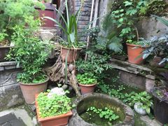 恺庐-恺庐茶园(宽窄巷子景区店)