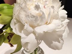 -Oyster Talks 四度蚝法餐厅