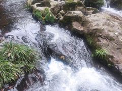 -龙苍沟森林公园