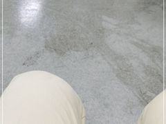 -瑶湖郊野森林公园