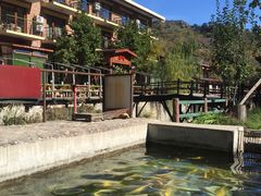 -北京水岸山吧度假村(雁栖镇店)