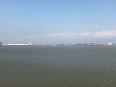-大湾区中央湿地公园