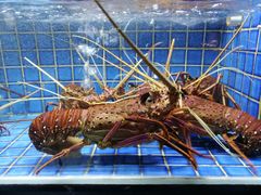 -徐记海鲜(汉城湖|太奥店)