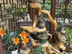 -深圳仙湖植物园