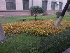 -辽宁大学(崇山校区)