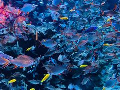 -成都浩海立方海洋公园