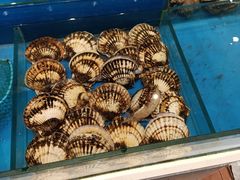 -海铺·渔家虾水饺(皇姑店)