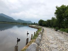 -大九湖