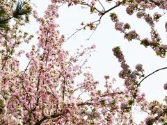 -海棠花溪(元大都城垣遗址公园)