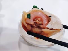 虾仁生煎-咬不得高祖生煎·简餐(高银街店)