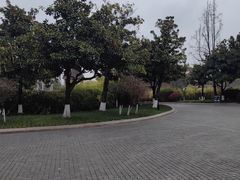 -成都南湖公园